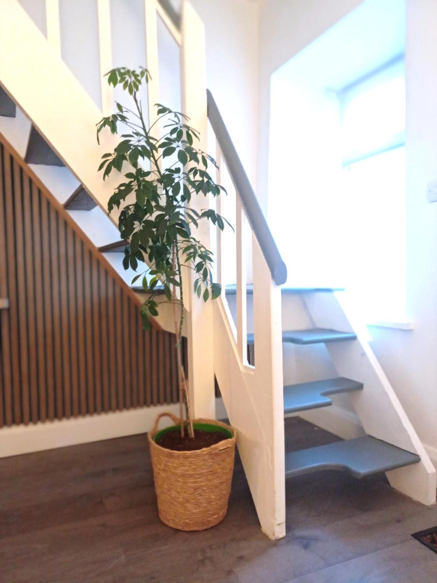 エニスタイモン Parliament Street Town Houseヴィラ エクステリア 写真
